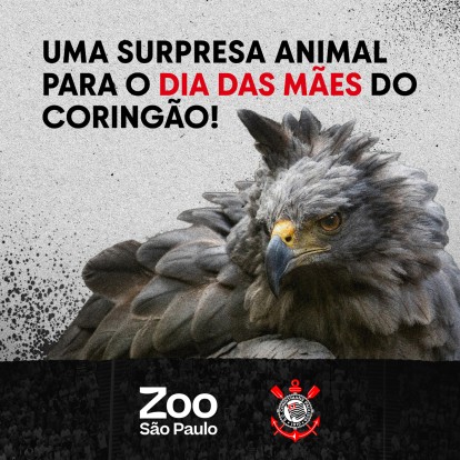 Corinthians e Zoológico de São Paulo se unem em parceria para o Dia das Mães